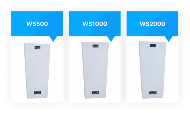 WS 500