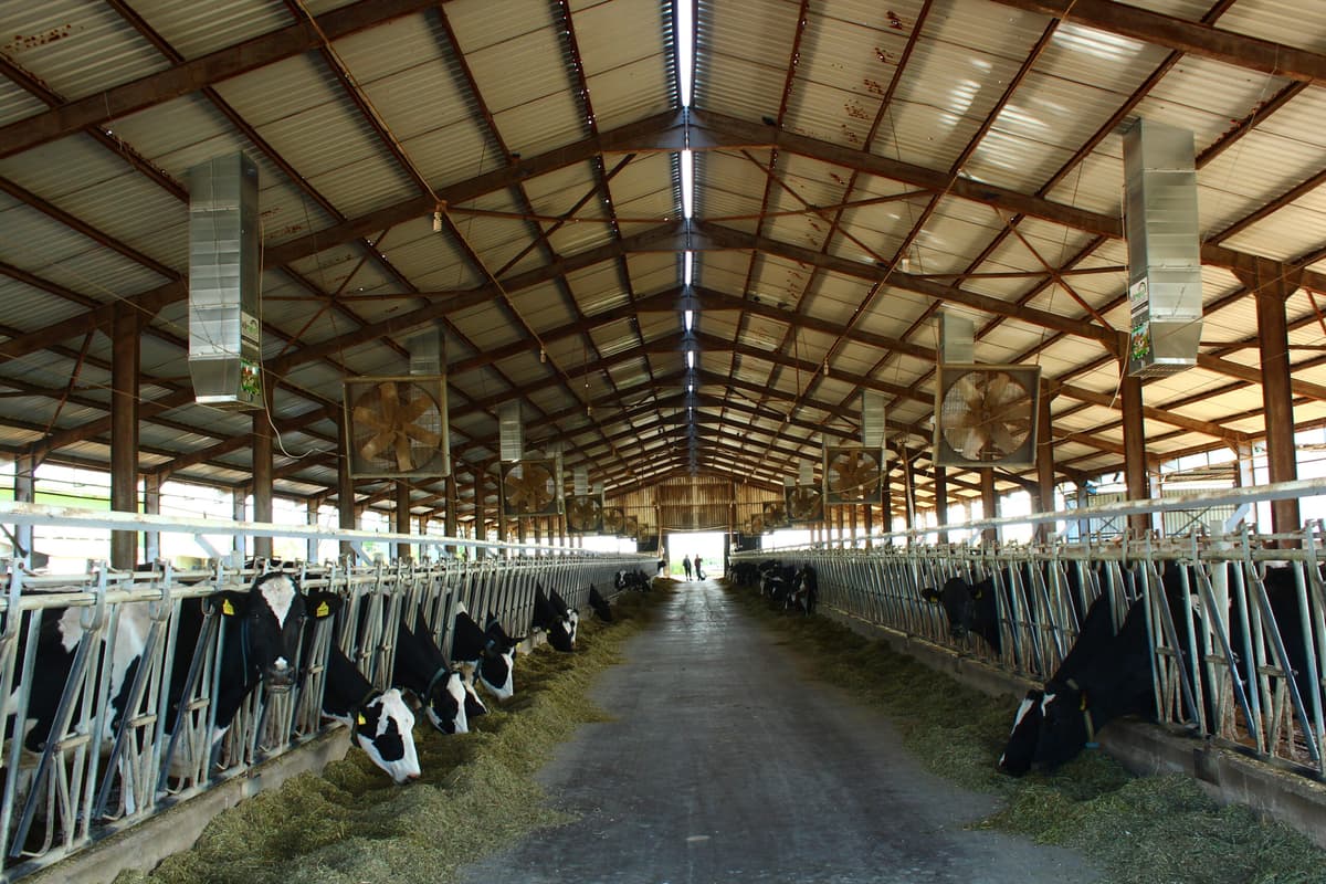 Fabriekskoelingsprojecten 12